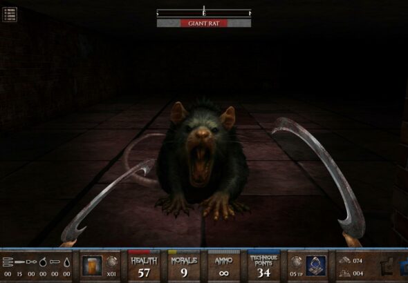 Dungeons of DUSK Demo